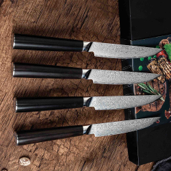 Ryoma box set of 4 damascus...